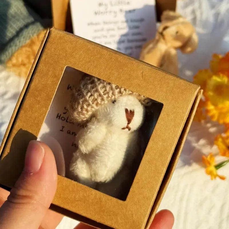 CZTICLE® 🎁Handmade Mini Plush Teddy Bear in Box