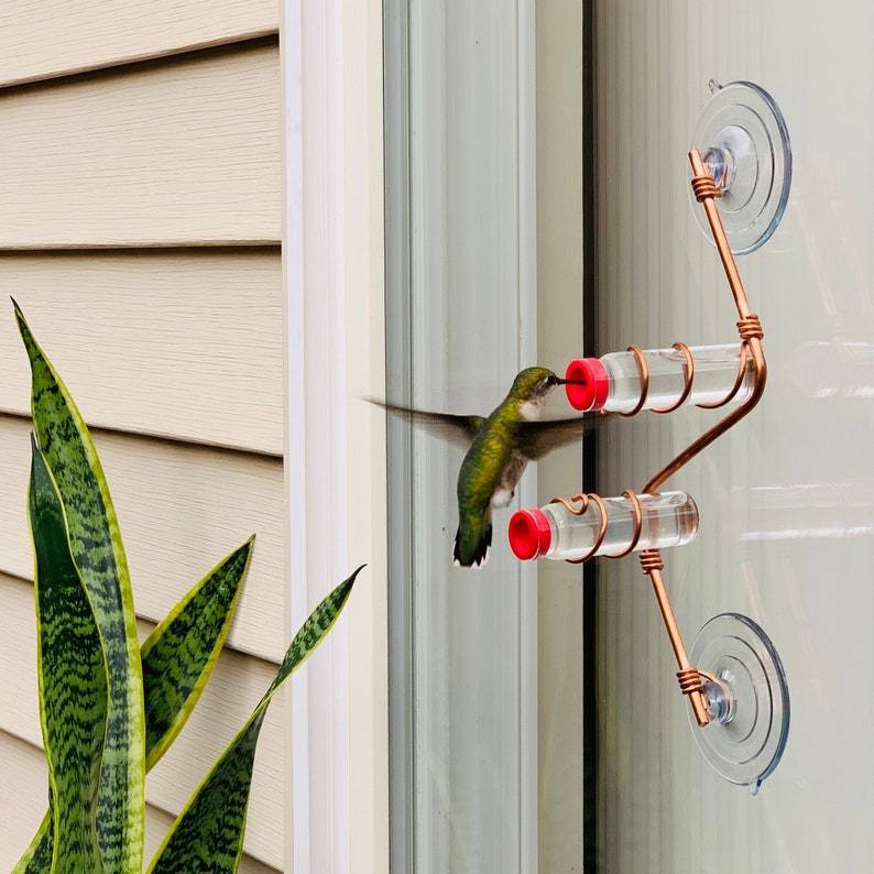 Cilifer®Geometric Window Hummingbird Feeder🐦