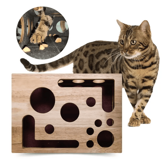 Cilifer®Cat Scratch Puzzle Enrichment Box: Nail File Stress Free Alternative to Clippers and Grinders