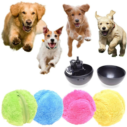 Cilifer®Active Rolling Ball (4 color covers included)