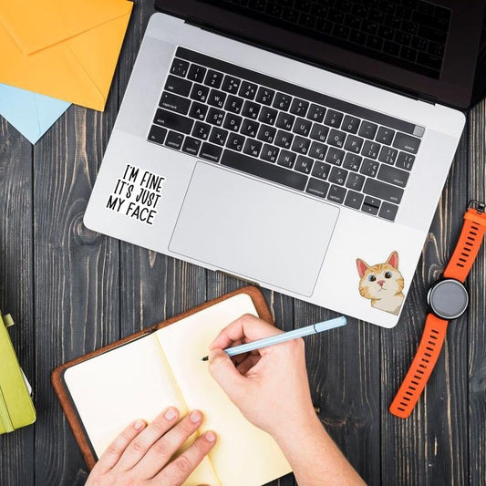 Cilifer® Set of 130 Pcs Funny Saying Stickers