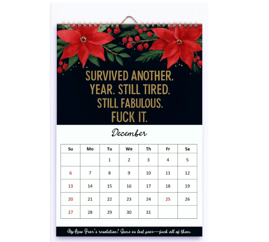 Cilifer®Fuck It Again – 2026 Calendar For Women Who've Had Enough