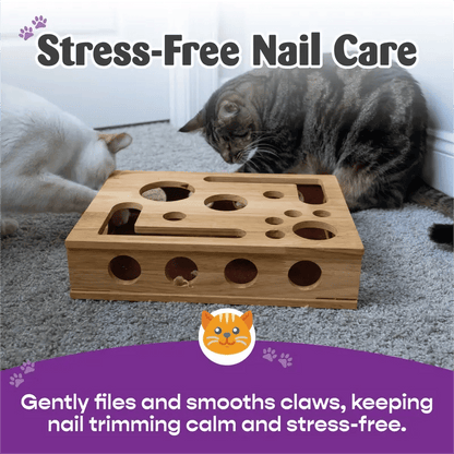 Cilifer®Cat Scratch Puzzle Enrichment Box: Nail File Stress Free Alternative to Clippers and Grinders